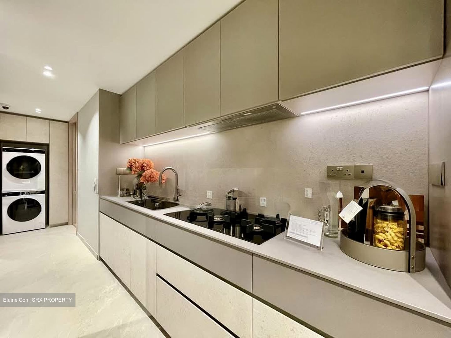 Union Square Residences (D1), Condominium #548101111